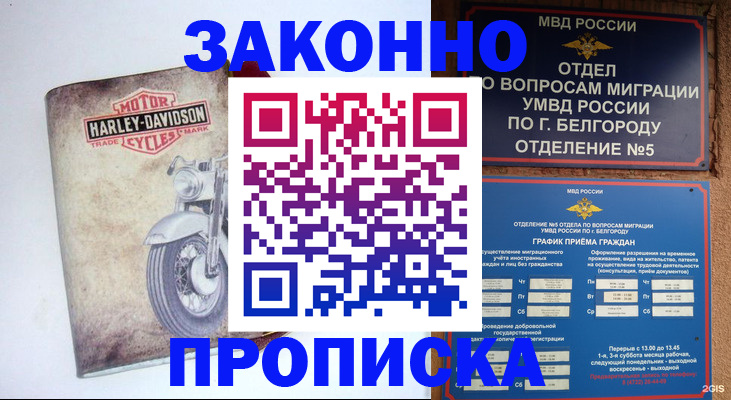 прописка для школы в Эртили